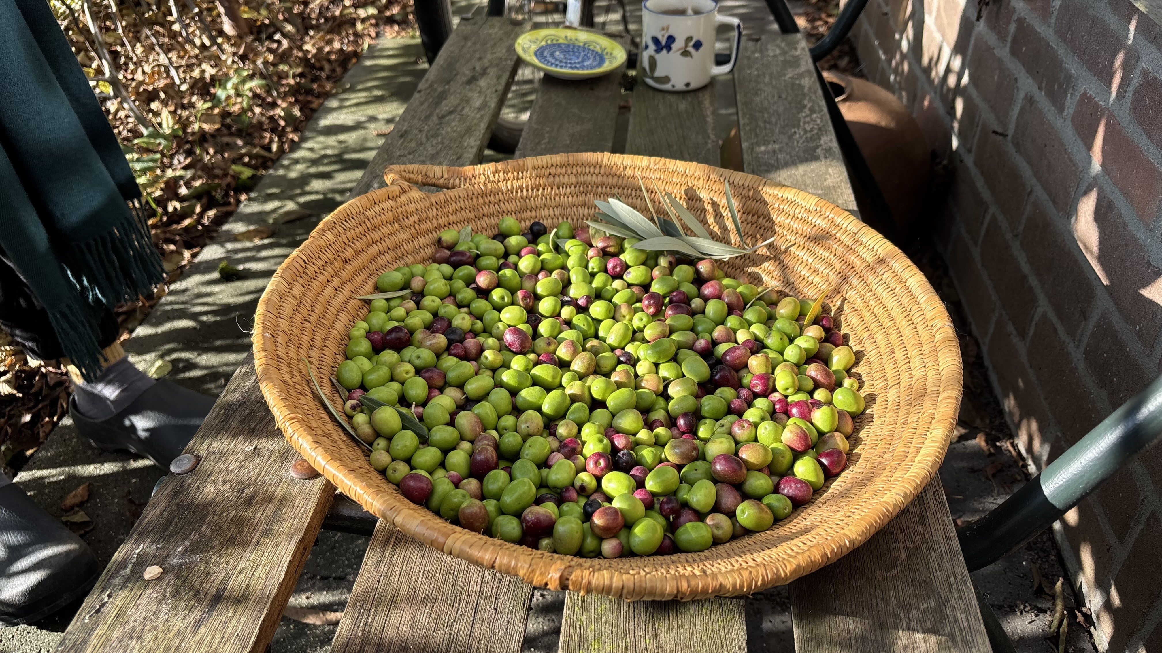 rauwe olijven in een mand
